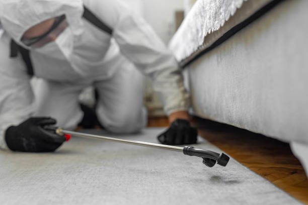 Professional Termite Control technician working in Smithville, TX