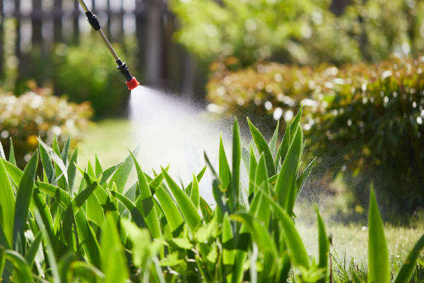 24/7 Emergency Termite Control experts in Smithville, TX